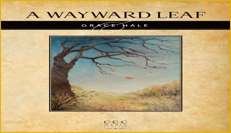 A Journey Into Musical Bliss